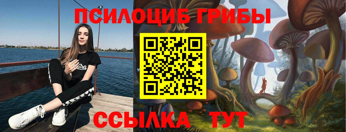 Кизилюрт  Галлюциногенные грибы Psilocybine cubensis  Вход с VPN  Псилоцибиновые грибы прущие грибы 