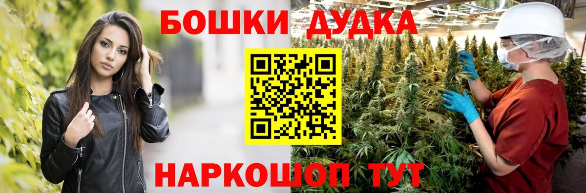 Конопля ГИДРОПОН Кизилюрт